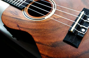 Ukulele Lessons Derry (BT47)